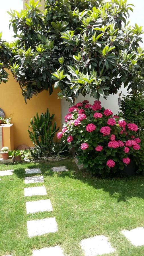 Appartamenti San Vito San Vito  Bagian luar foto